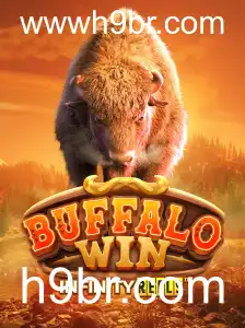BuffaloWin: Uma Jornada Incrível no Mundo dos Games